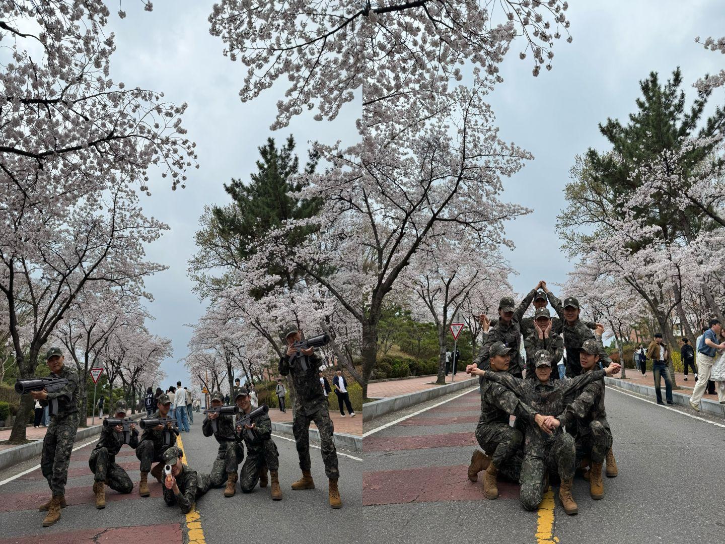 출품작2.jpg 첨부 이미지