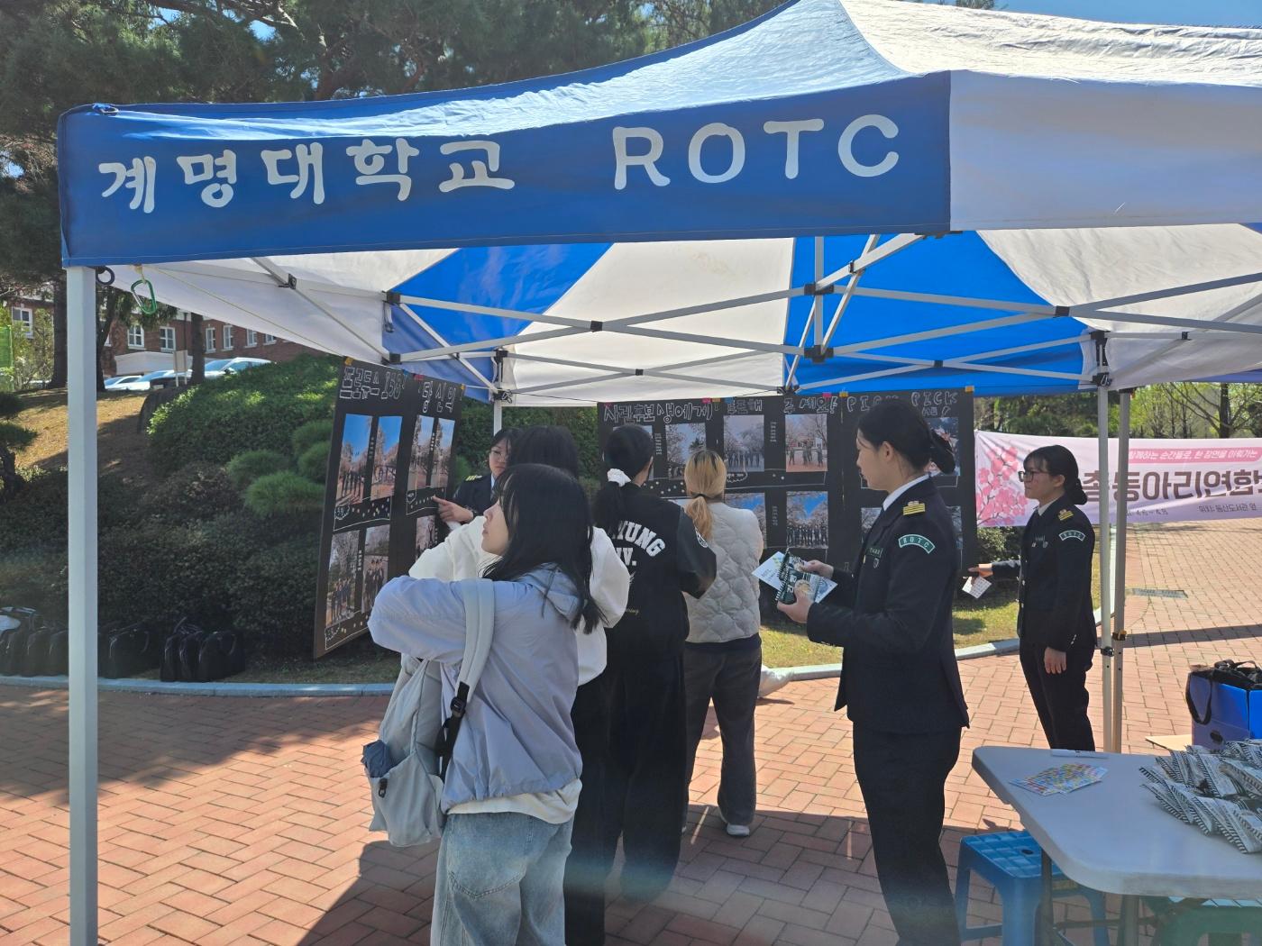 벚꽃 사진 투표 현장사진